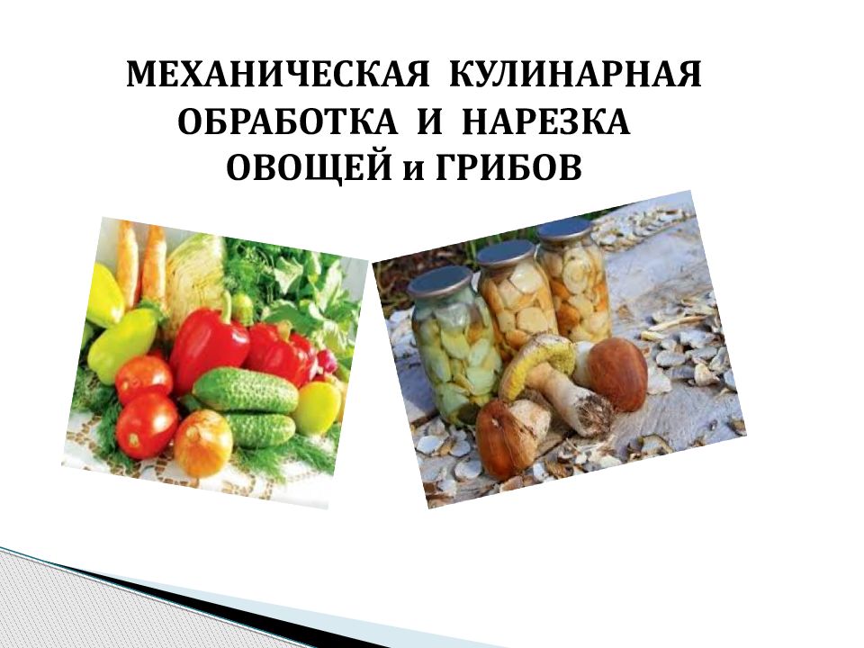 Обработка овощей. Механическая кулинарная обработка грибов. Механическая кулинарная обработка и нарезка овощей. Кулинарная обработка соленых овощей и грибов. Механическая кулинарная обработка и нарезка овощей, грибов..