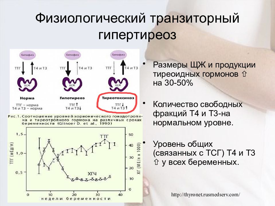 Гипертиреоз показатели. Тиреотоксикоз уровень гормонов показатели. Транзиторный гипертиреоз. Гипертиреоз показатели гормонов. Транзиторный гестационный гипертиреоз.