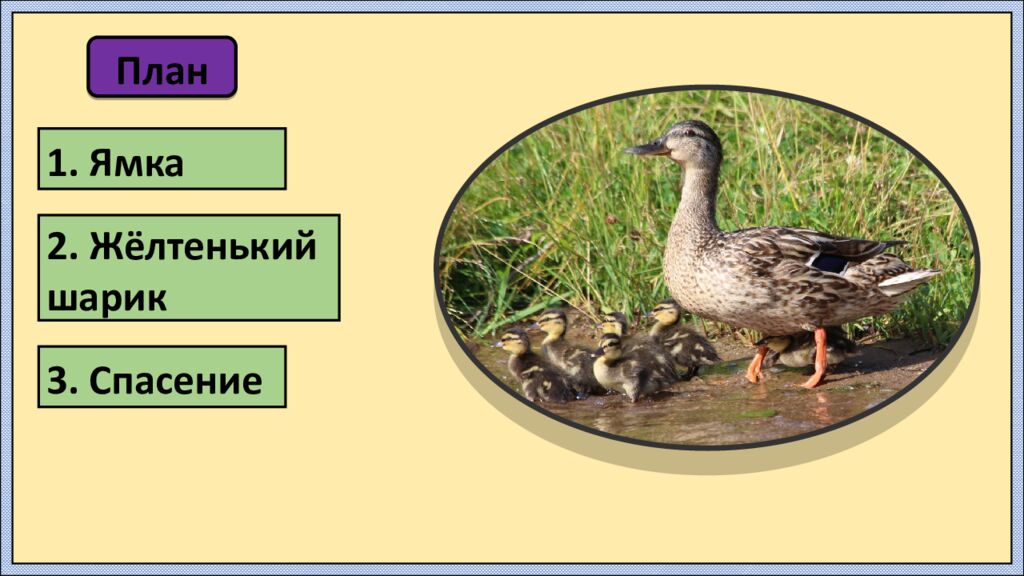 Урок русского языка в 3 классе