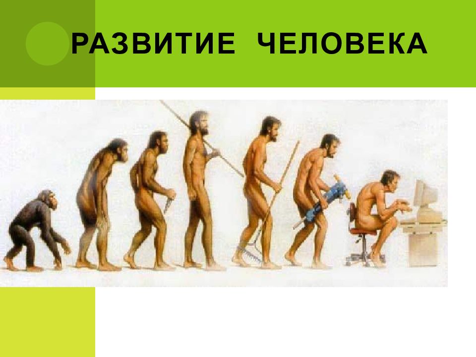 Эволюция человеческой расы