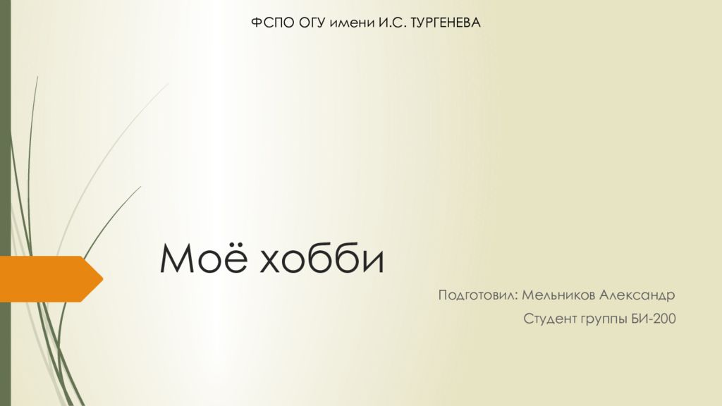 Моё хобби