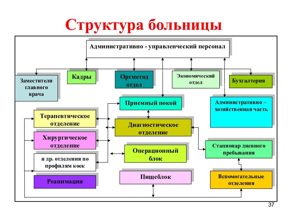 Подразделение стационара. Схема организационная структура стационар. Структура отделения больницы.