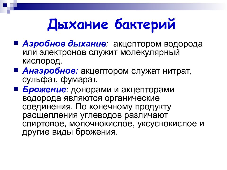 Аэробное дыхание это. Аэробное дыхание микроорганизмов. Аэробное дыхание бактерий. Бактерии с анаэробным типом дыхания. Типы дыхания бактерий.