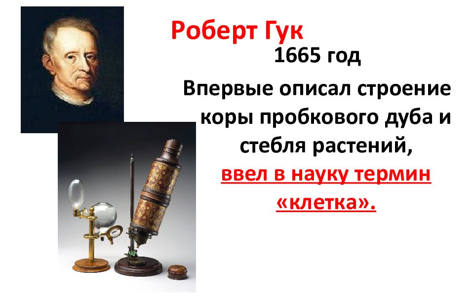 Ввел в науку. Роберт Гук в 1665 г.. Роберт Гук 1665 клетка. Роберт Гук вклад в гистологию. Роберт Гук 1665 открытие.