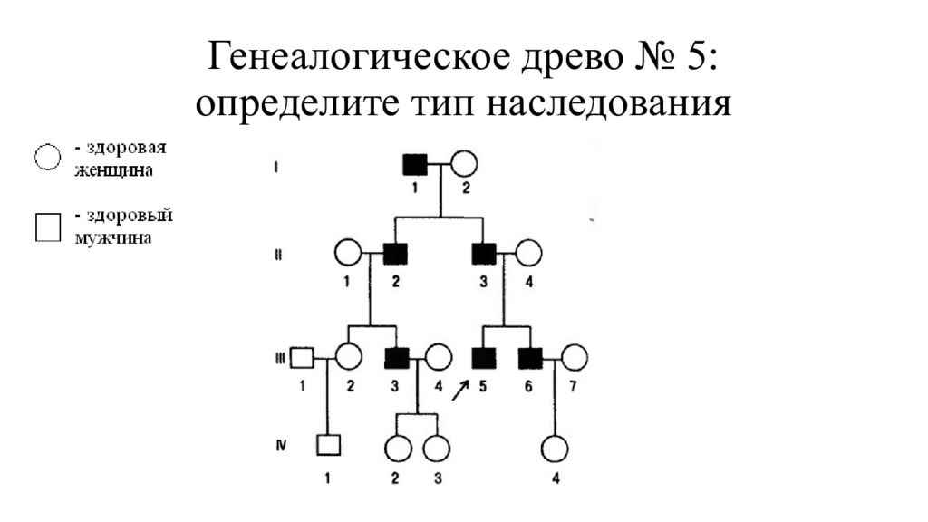 Y тип наследования