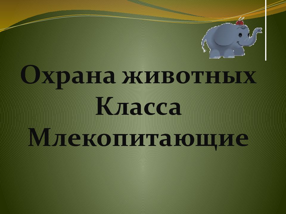 Презентация охрана млекопитающих 7 класс презентация