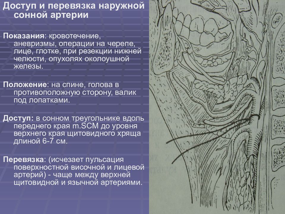 Топографическая анатомия и оперативная хирургия шеи презентация