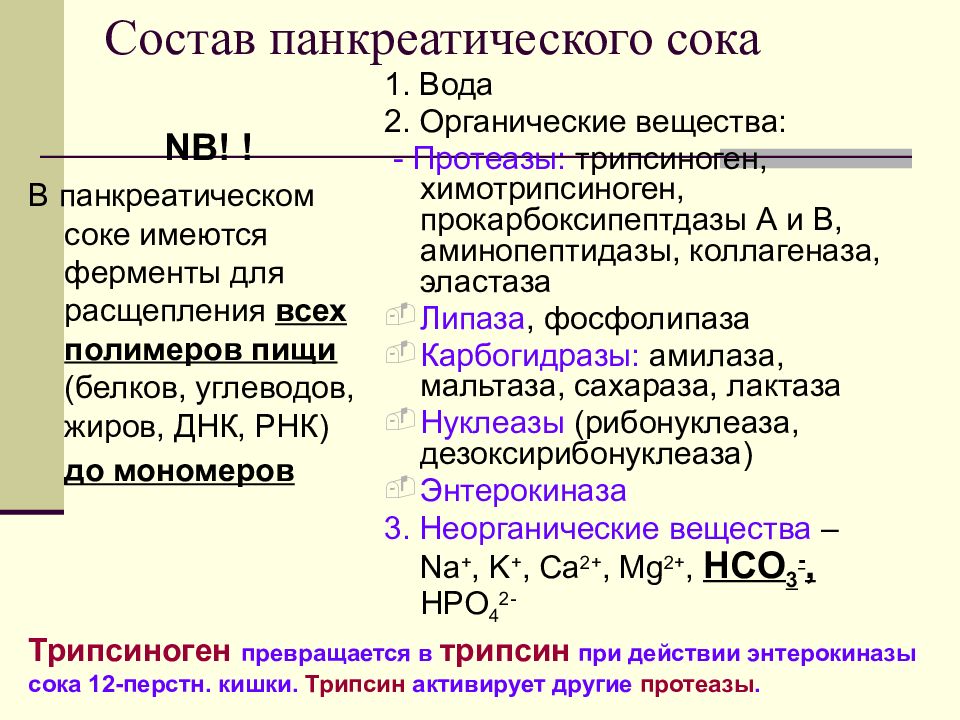 Фермент панкреатического сока расщепляющий белок. Характеристика ферментов панкреатического сока. Состав панкреатического сока физиология. Ферменты панкреатического сока физиология. Неорганические вещества панкреатического сока.