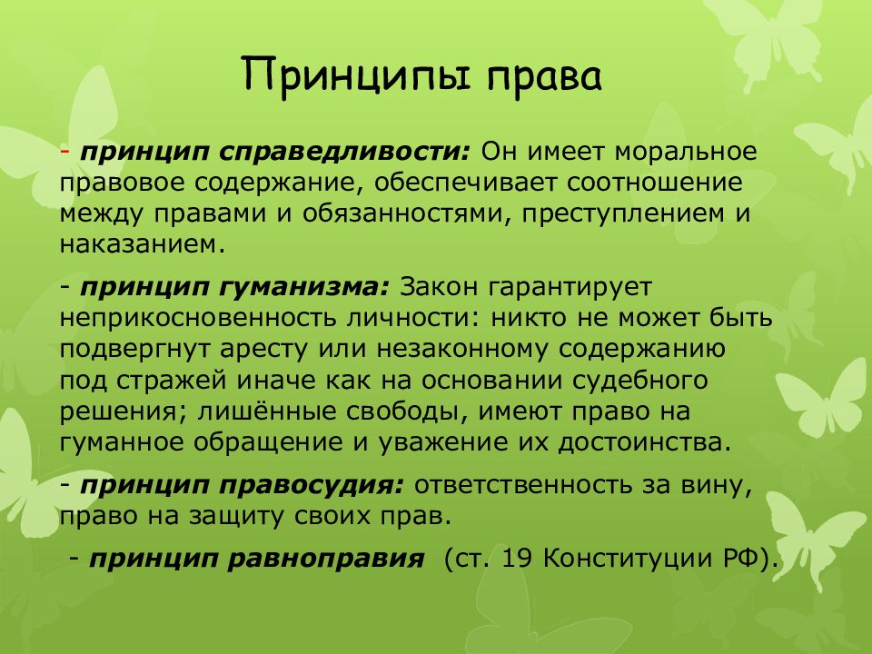 Система норм и принципов. Принципы права. Основные принципы права. Система принципов права. Общие правовые принципы права.