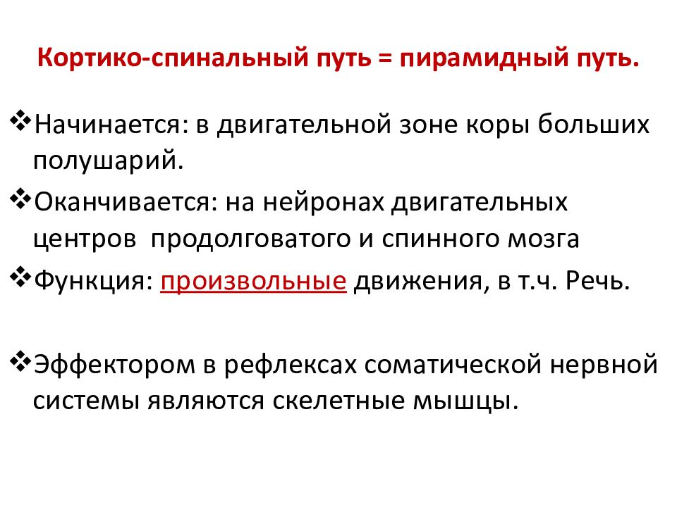 Функция пути. Пирамидный путь функции. Кортико спинальный путь функции. Кортикоспинальный путь функция. Пирамидная система функции.