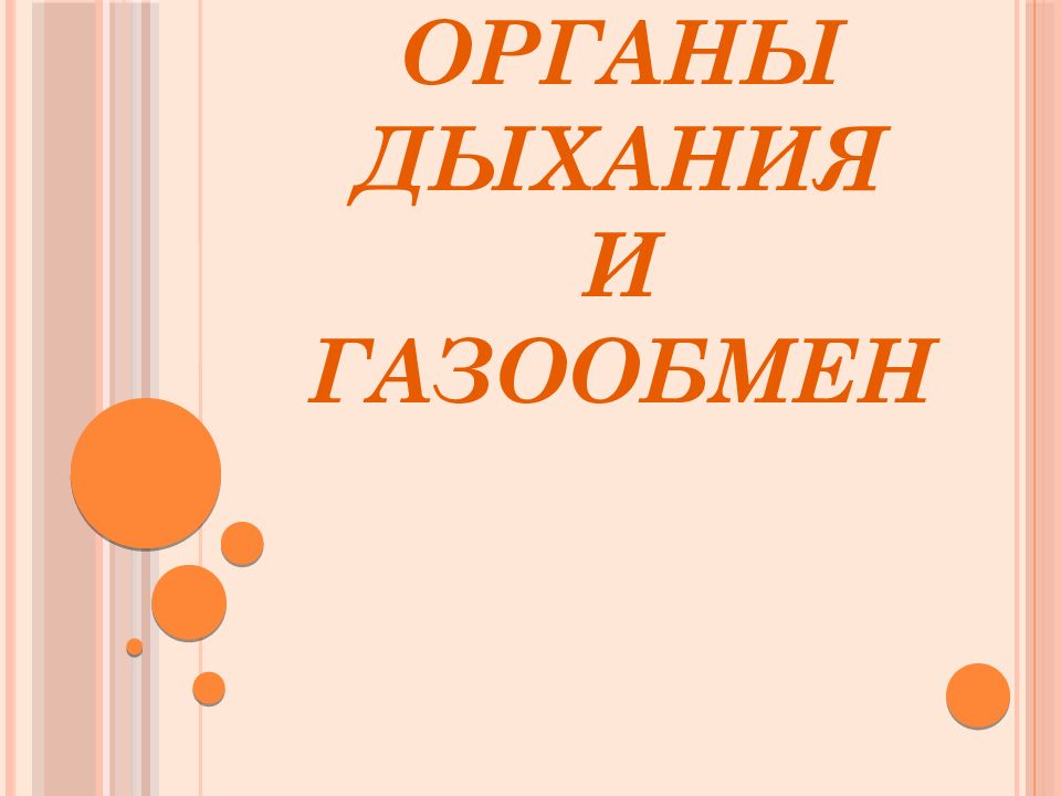 Органы дыхания и газообмен