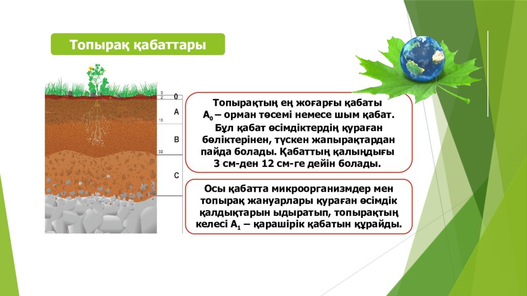 ТОПЫРАҚ ЖӘНЕ ОНЫҢ ҚҰРАМЫ МЕН ҚҰРЫЛЫМЫ