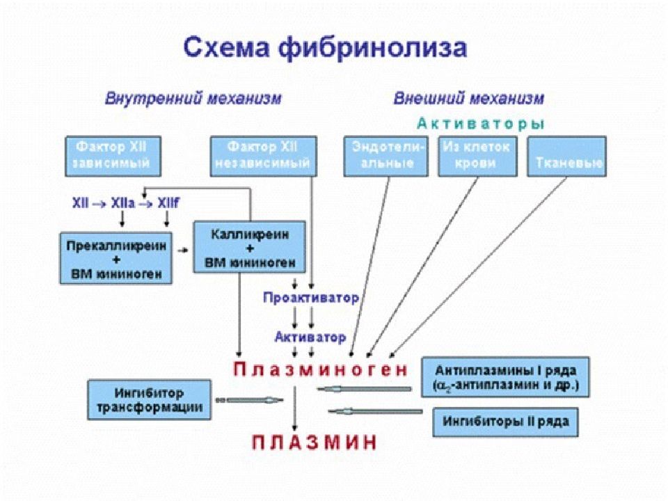 Биохимия гемостаза презентация