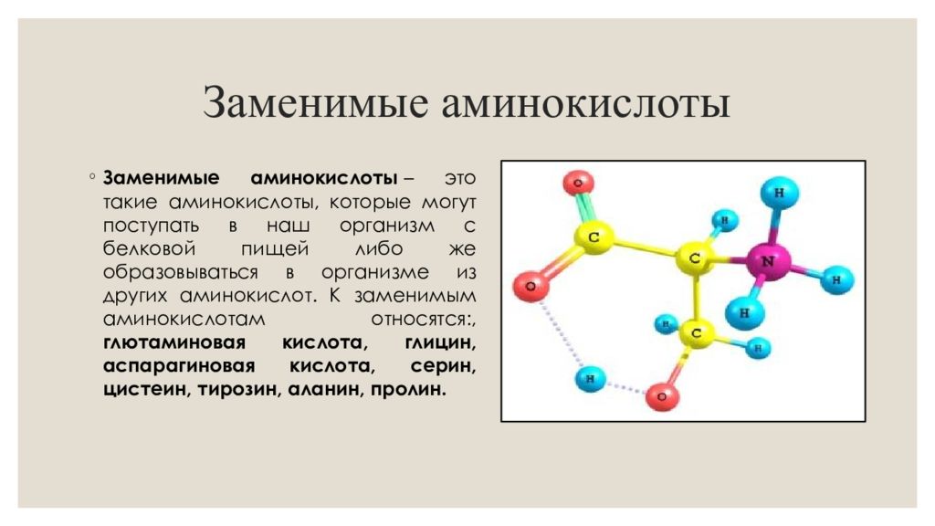 Аминокислоты сдать. Аминокислоты. Заменимые и незаменимые аминокислоты. Заменимые аминокислоты в организме. Заменновая аминокислота.