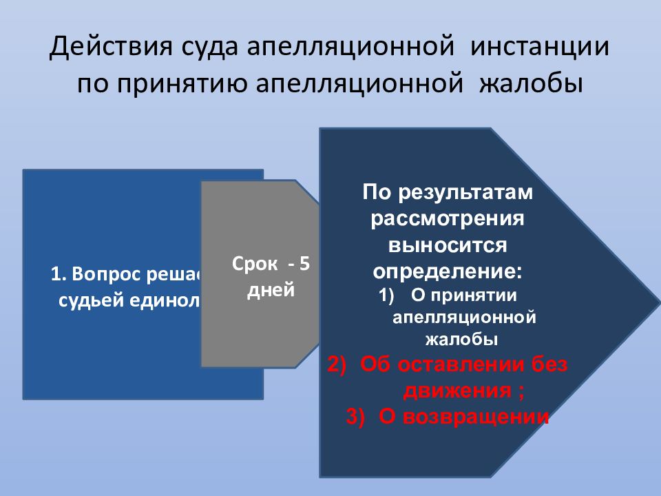 Прения в апелляционной инстанции