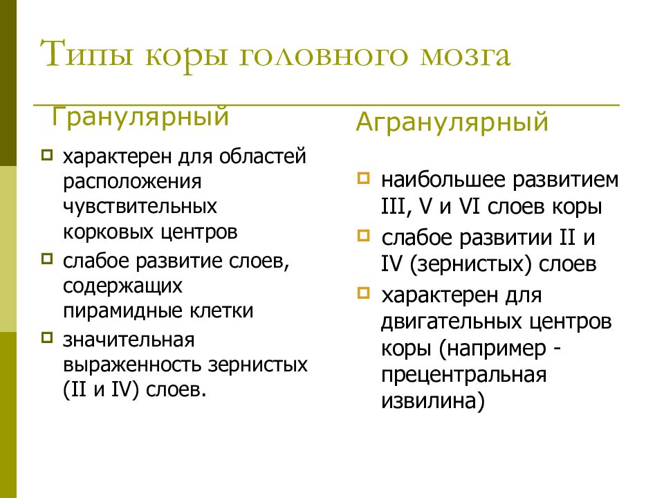 Морфофункциональная характеристика спинного мозга презентация