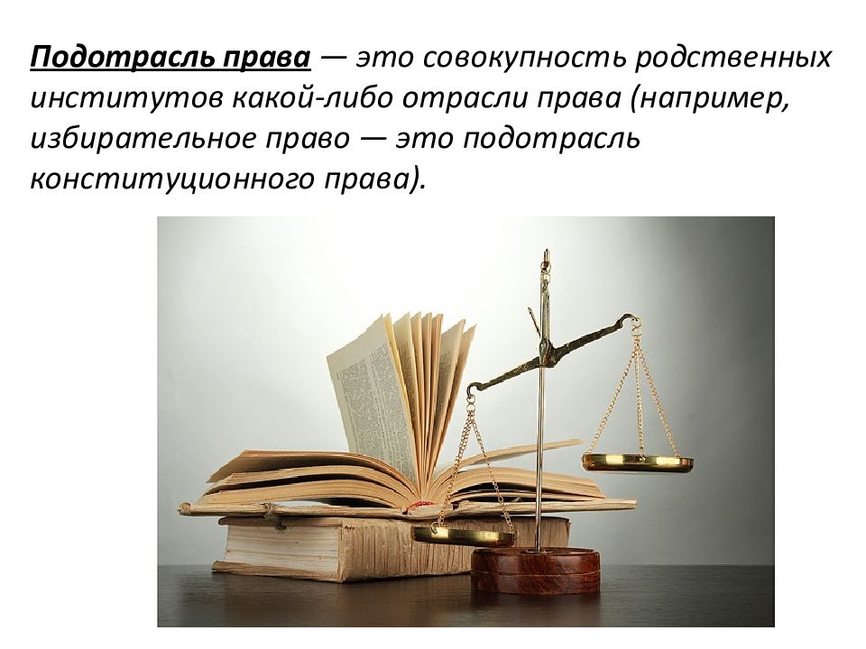 Правовое регулирование общественных отношений презентация 10 класс обществознание боголюбов