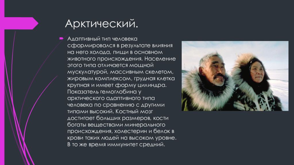 Адаптивный вид. Арктический адаптивный Тип. Адаптивный Тип человека Арктический Тип. Арктический адаптивнфй ти. Адаптационные типы Арктический.