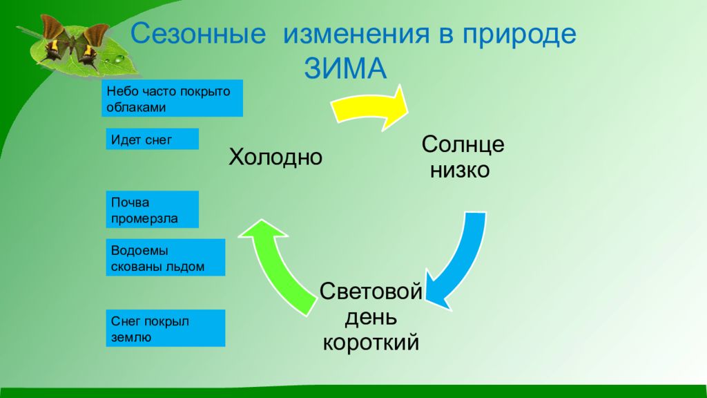 Факторы жизни растений презентация