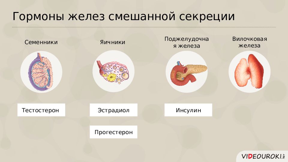 Железы внутренней и внешней секреции презентация