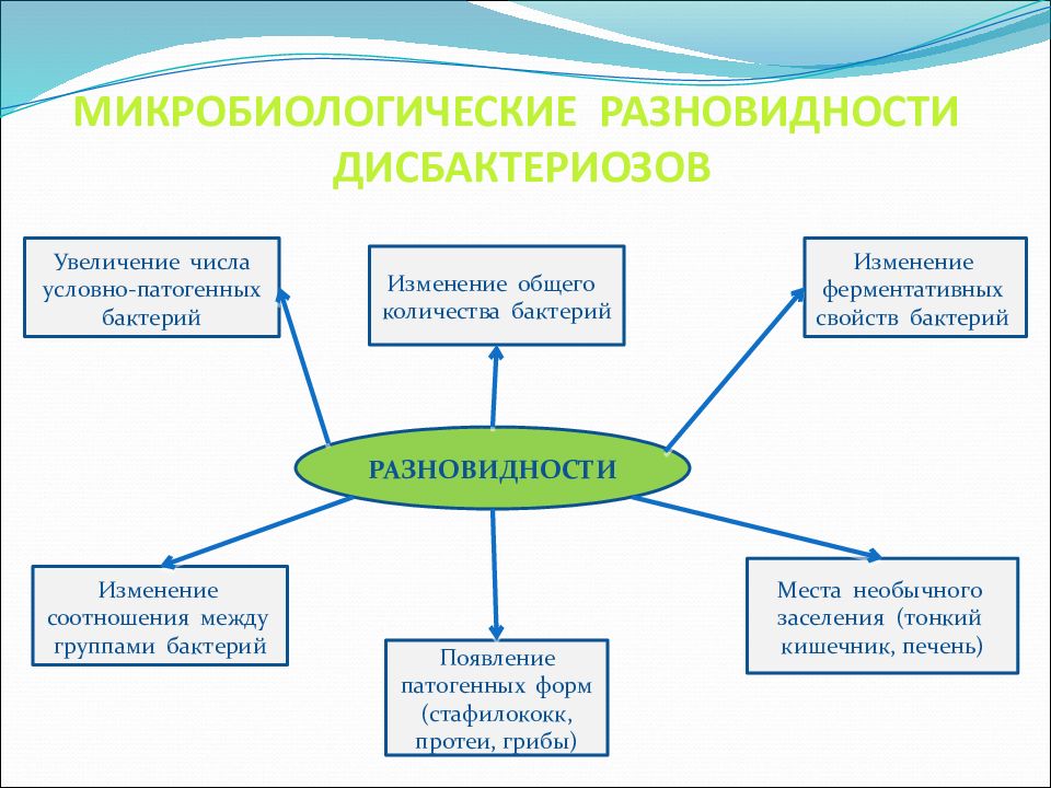 Экология микроорганизмов презентация