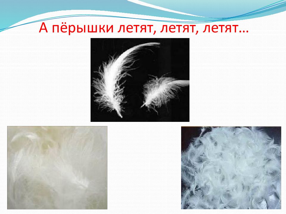 Лети перышко слова. Пух и перья летят значение. Пёрышко кв. Перья летят поговорка.