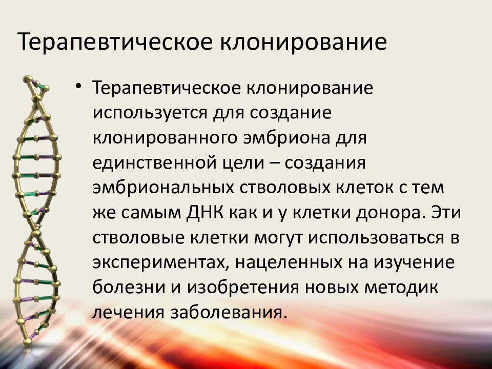 Репродуктивное клонирование. Терапевтическое клонирование. Презентация на тему клонирование. Цель терапевтического клонирования. Терапевтическое клонирование стволовые клетки.