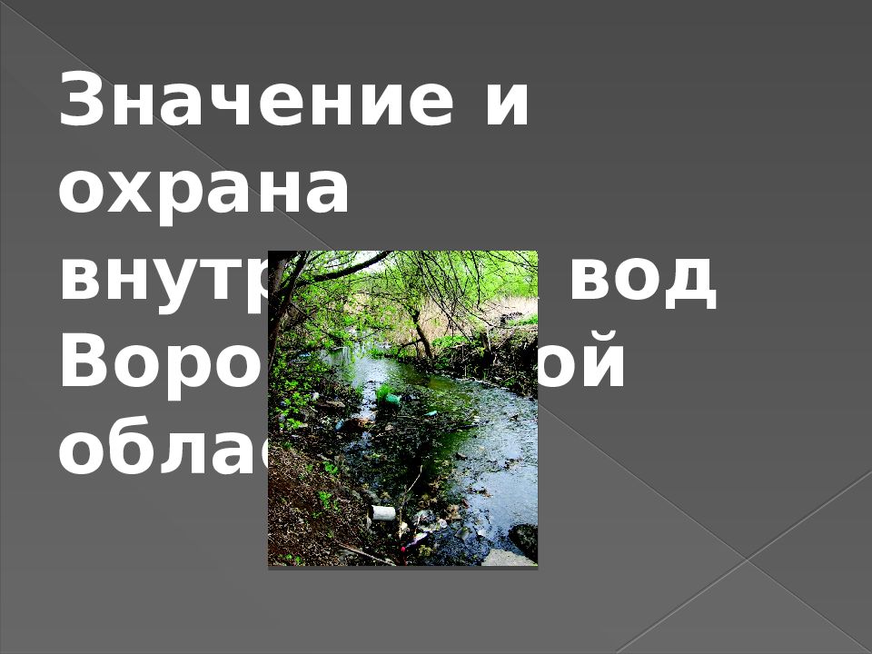 Охрана внутренних вод