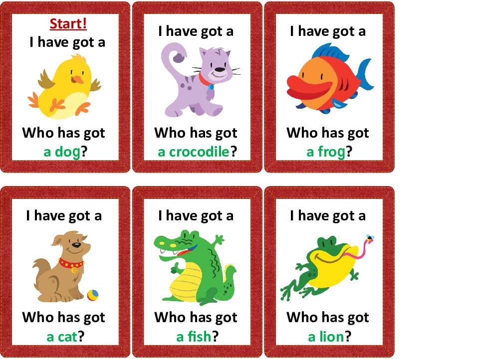 I have got a Who has got a do g ? I have got a Who has got a cat ? I have got