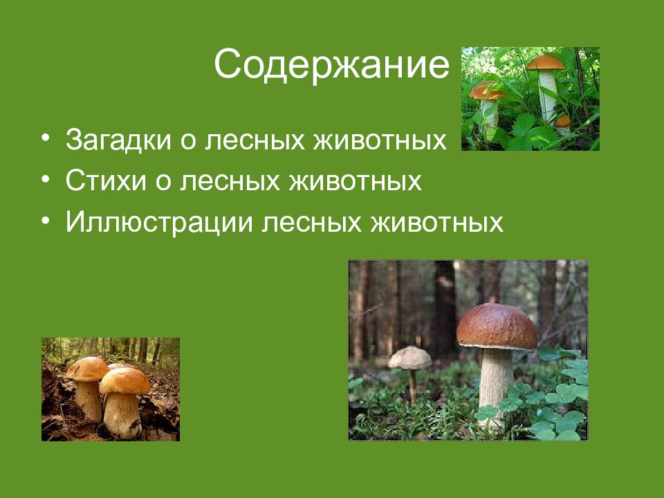 Ислам терроризм. Содержание воинской обязанности. Смертельная доза промилле. Воинская обязанность содержание воинской обязанности. (курица)».