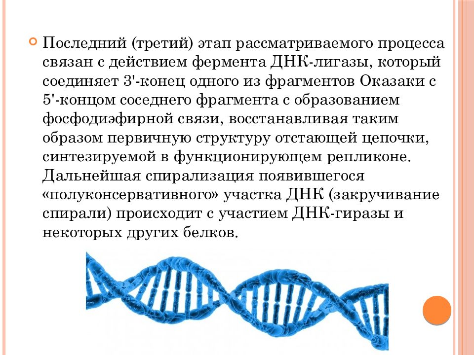 Структуру днк расшифровали. ДНК расшифровка. Молекулярная структура ДНК расшифрована. Как расшифровывается ДНК человека. Как переводится ДНК расшифровывается.
