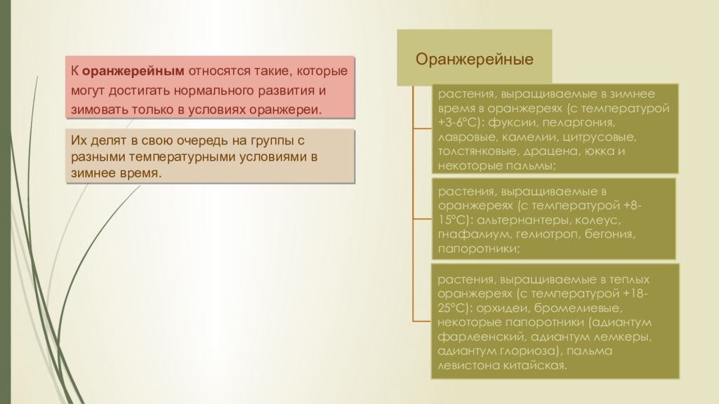 История цветоводства в россии презентация