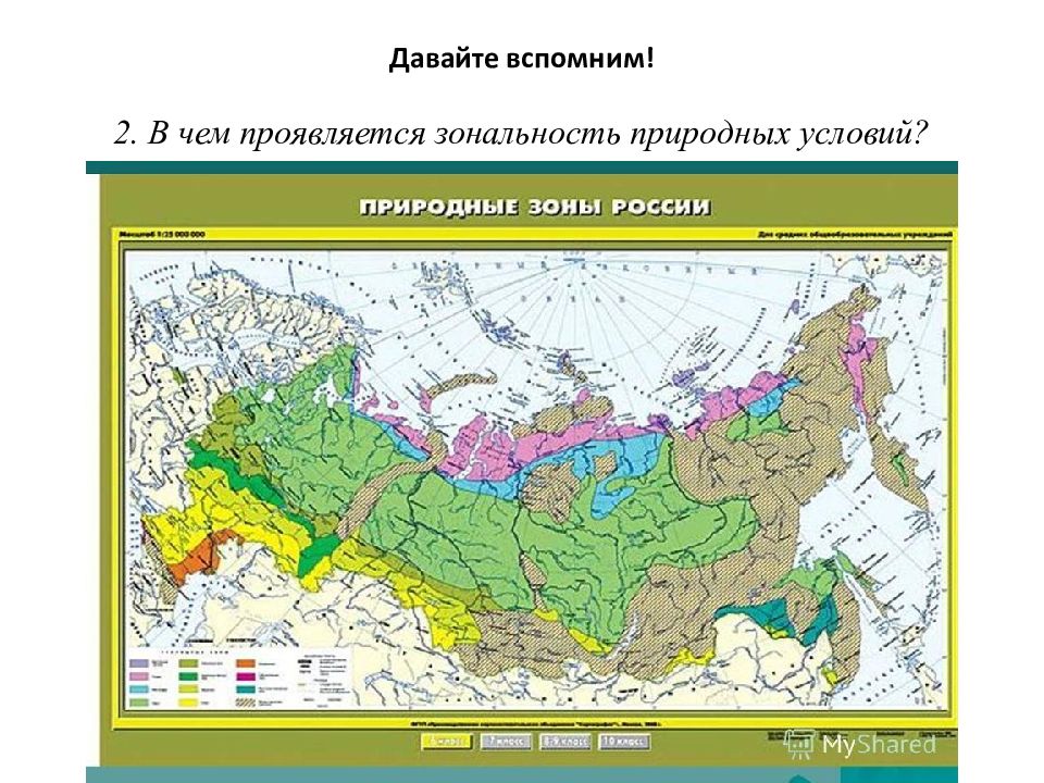 Зональные типы сельского хозяйства таблица 9 класс Таблица сельскохозяйственные районы