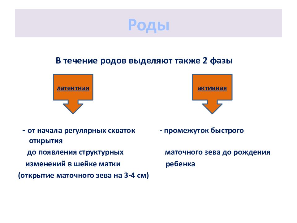 Фазы родов. Латентная фаза родов. Течение родов. Родовые схватки интервал.