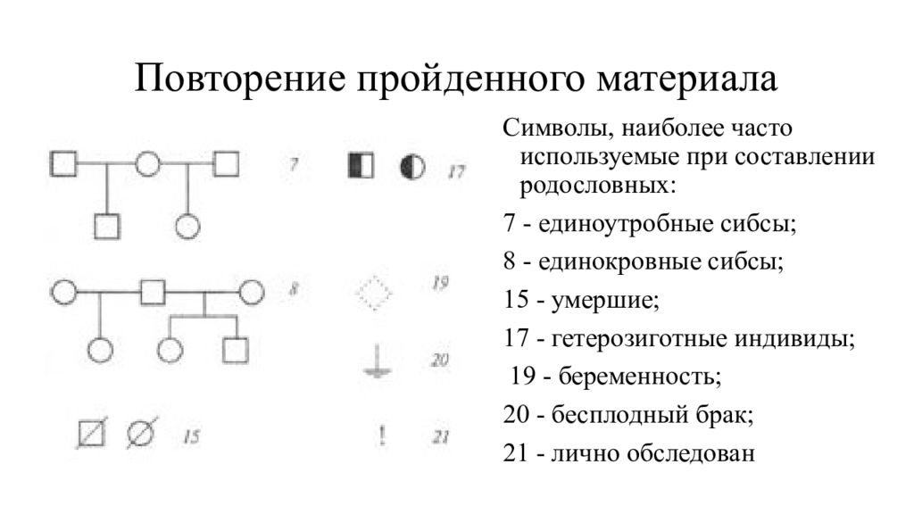 Сибсы. Единоутробные СИБСЫ. Символы, наиболее часто используемые при составлении родословных. Единокровные и единоутробные. Тип наследования алкоголизма.