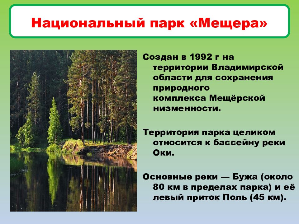 История охраны природы. Национальный парк Мещёра во Владимирской области официальный сайт. Мещёра национальный парк. Национальный парк Мещёра во Владимирской области. Растения в национальном парке Мещёра.