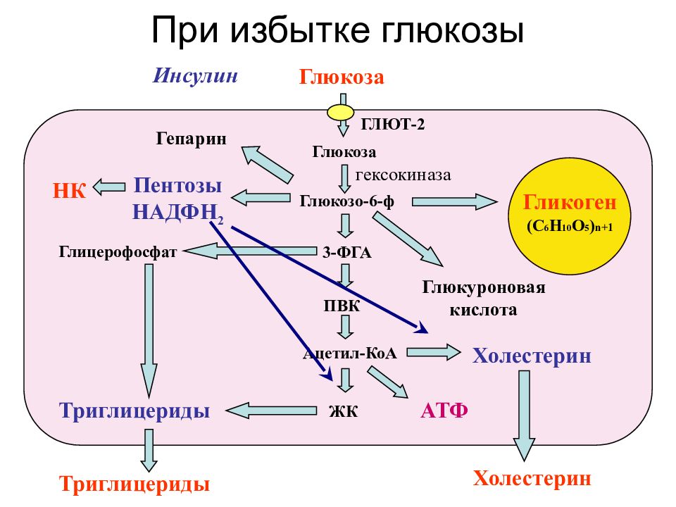 Инсулин презентация по биохимии