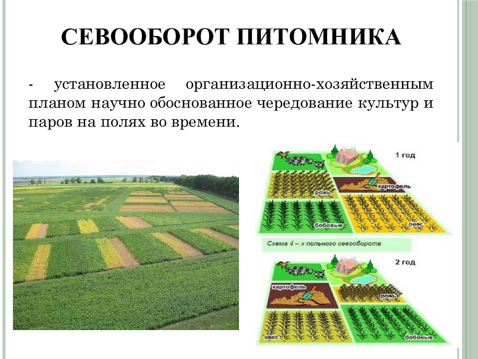 Схема севооборотов и обработки почв с учетом почвенного плодородия