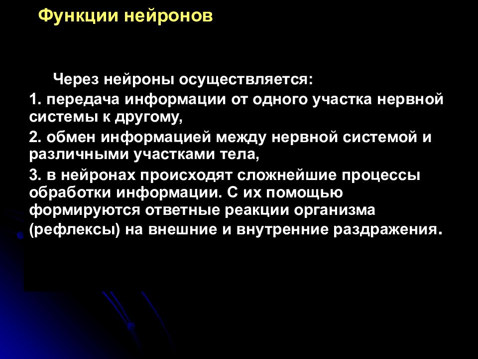 Нейронная функция. Функции нейрона. Основные функции нейрона. Функции нервной клетки. Основные функции нервной клетки.