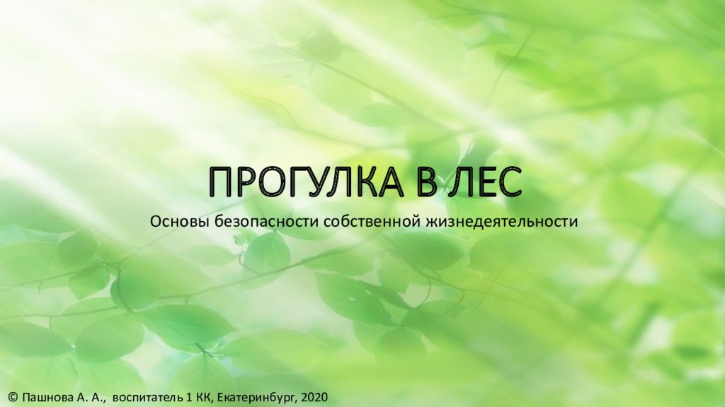 Презентация прогулка в лес. Презентация прогулка в лес. Рассказ осенняя прогулка. Презентация прогулка в лес. Правила поведения на экскурсии в лесу.