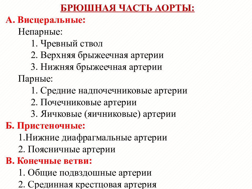 Вопросы по анатомии с ответами. Вопросы по анатомии человека. Сложные вопросы по анатомии. Лёгкие вопросы по анатомии.