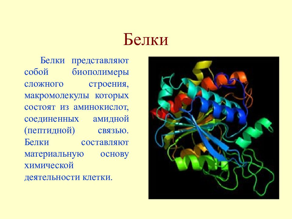 Структуры биополимера. Биополимеры белки строение. Биополимеры белки и полисахариды. Белки представляют собой. Белки представляют собой биополимеры.