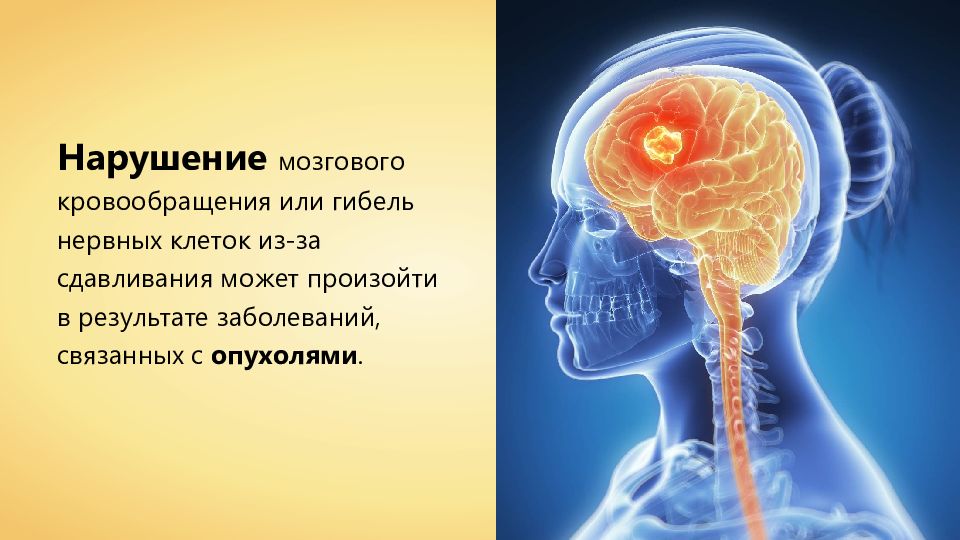 Заболевания нервной системы презентация 8 класс