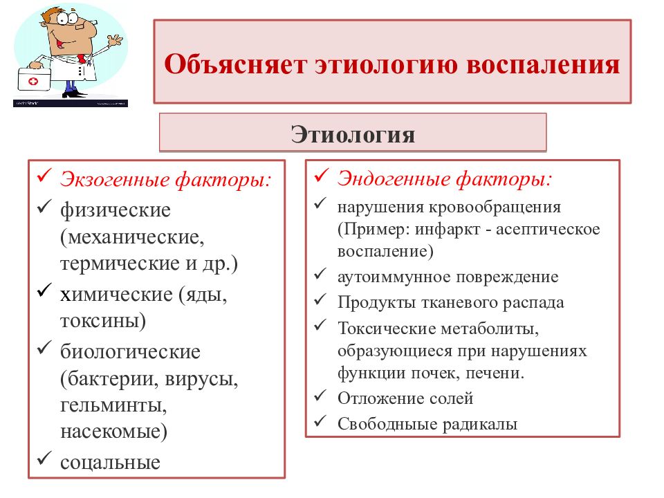 Экзогенные факторы. Этиология воспаления. Воспаление этиология воспаления. Этиология воспаления экзогенные и эндогенные факторы. Этиология и патогенез воспаления.