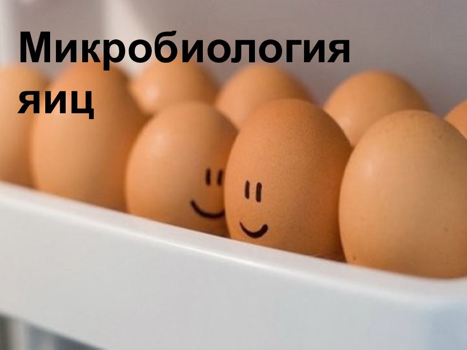 Микробиология яиц