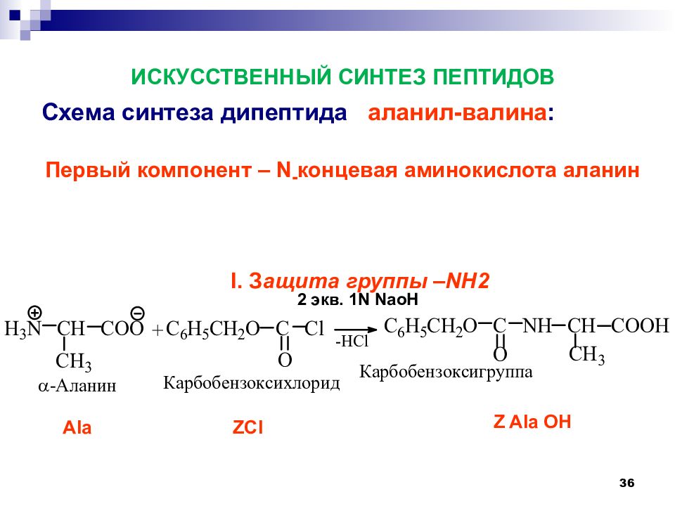 Презентация белки и пептиды