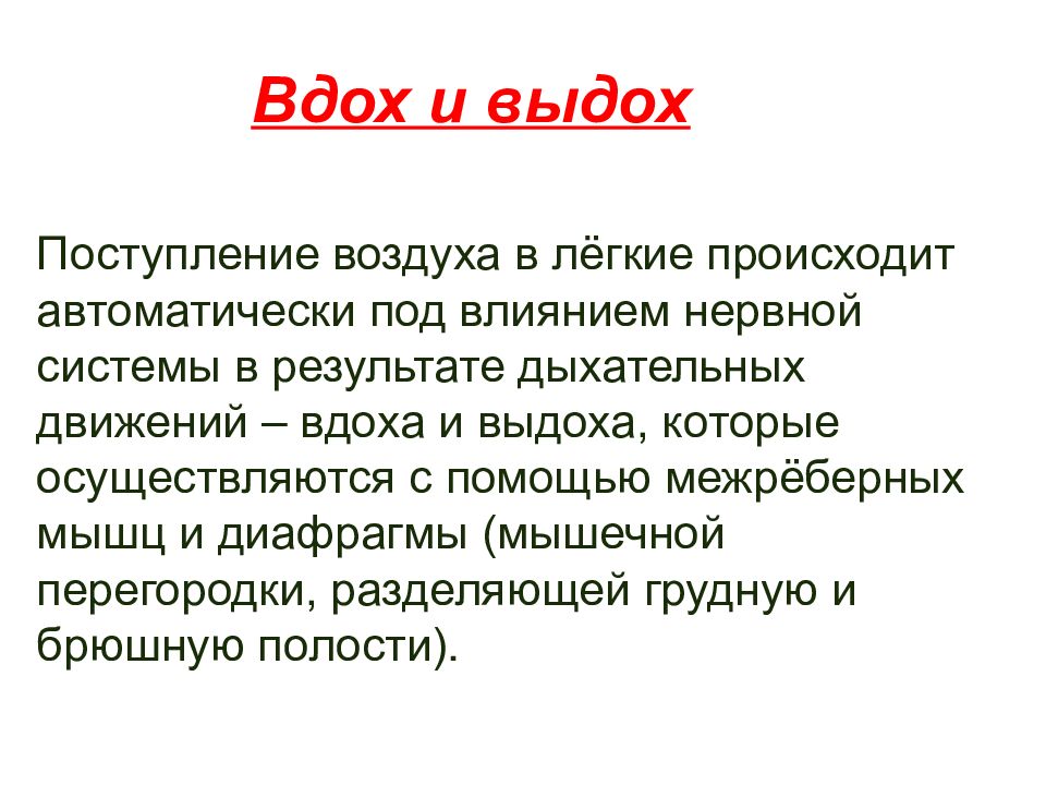 Выдох осуществляется. Дыхательные движения презентация 8 класс биология. Вдох и выдох 4 класс. Процедуры "легкое дыхание". Презентация использование на уроке чтения дыхание презентация.