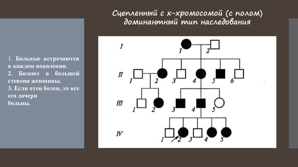 Презентация генеалогический метод исследования