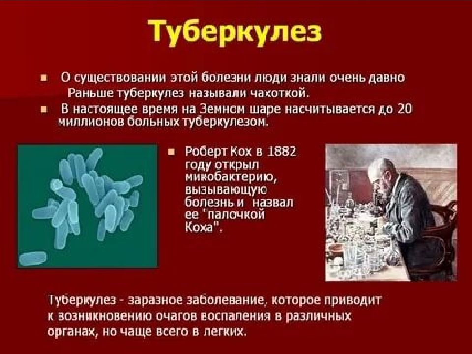 Врожденный туберкулез презентация