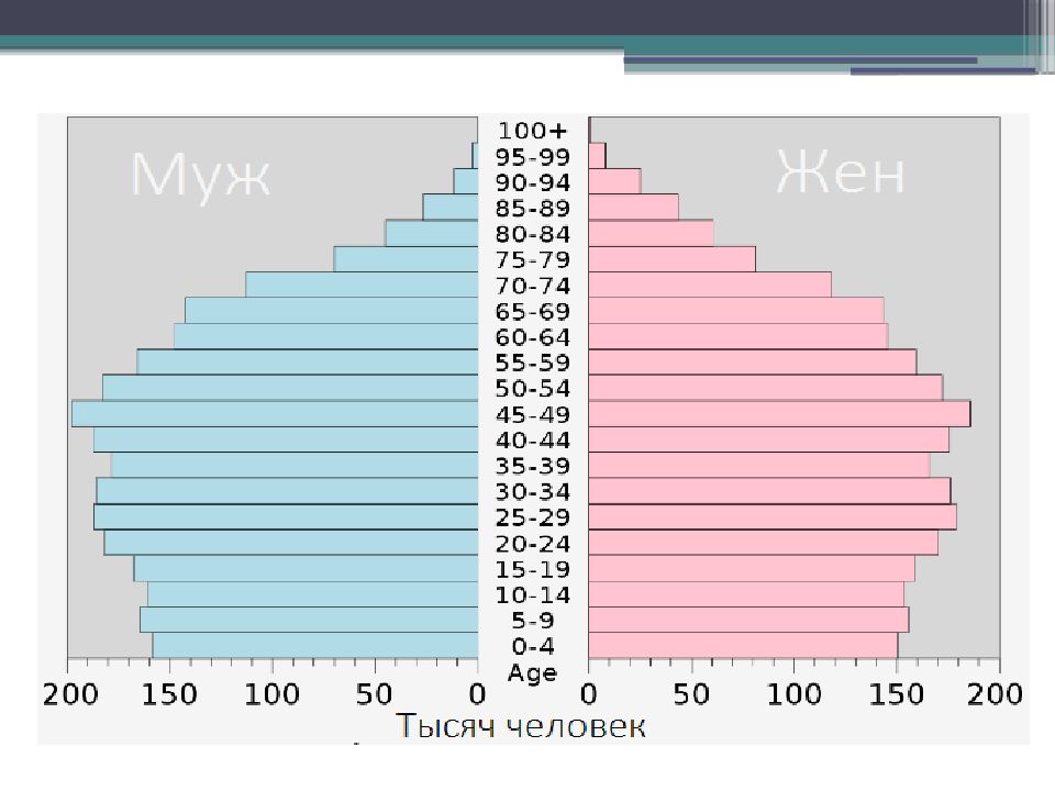 Демография в 2023 году